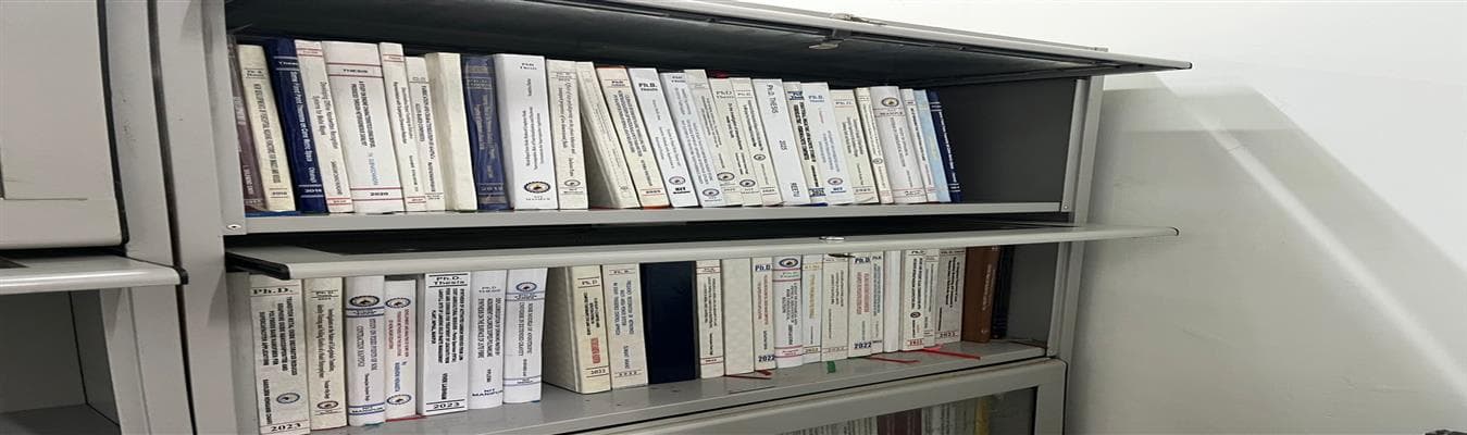 thesis-section